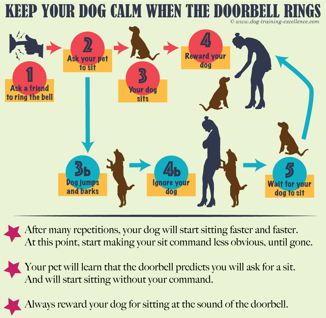 How to stop a dog barking at the doorbell
How to keep a dog calm at the doorbell