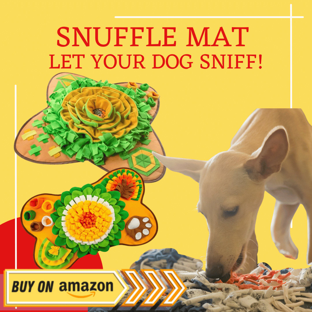 Snuffle mat amazon