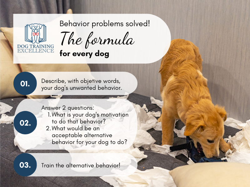 Solve dog behavior problems the formula