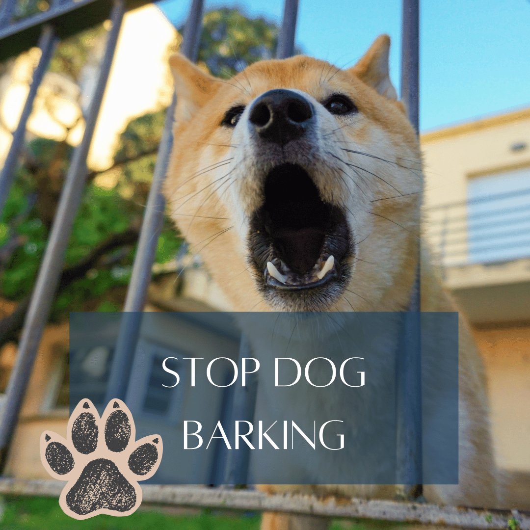 stop barking home page title