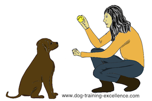 dog training hand signal take it by DTE