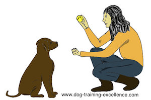 Dog Obedience Hand Signals Chart