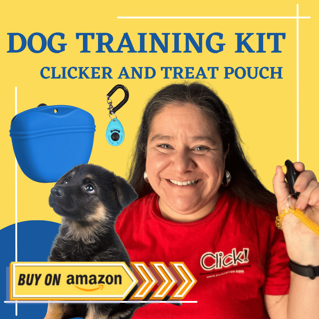 dog trainer kit amazon with german shpherd puppy