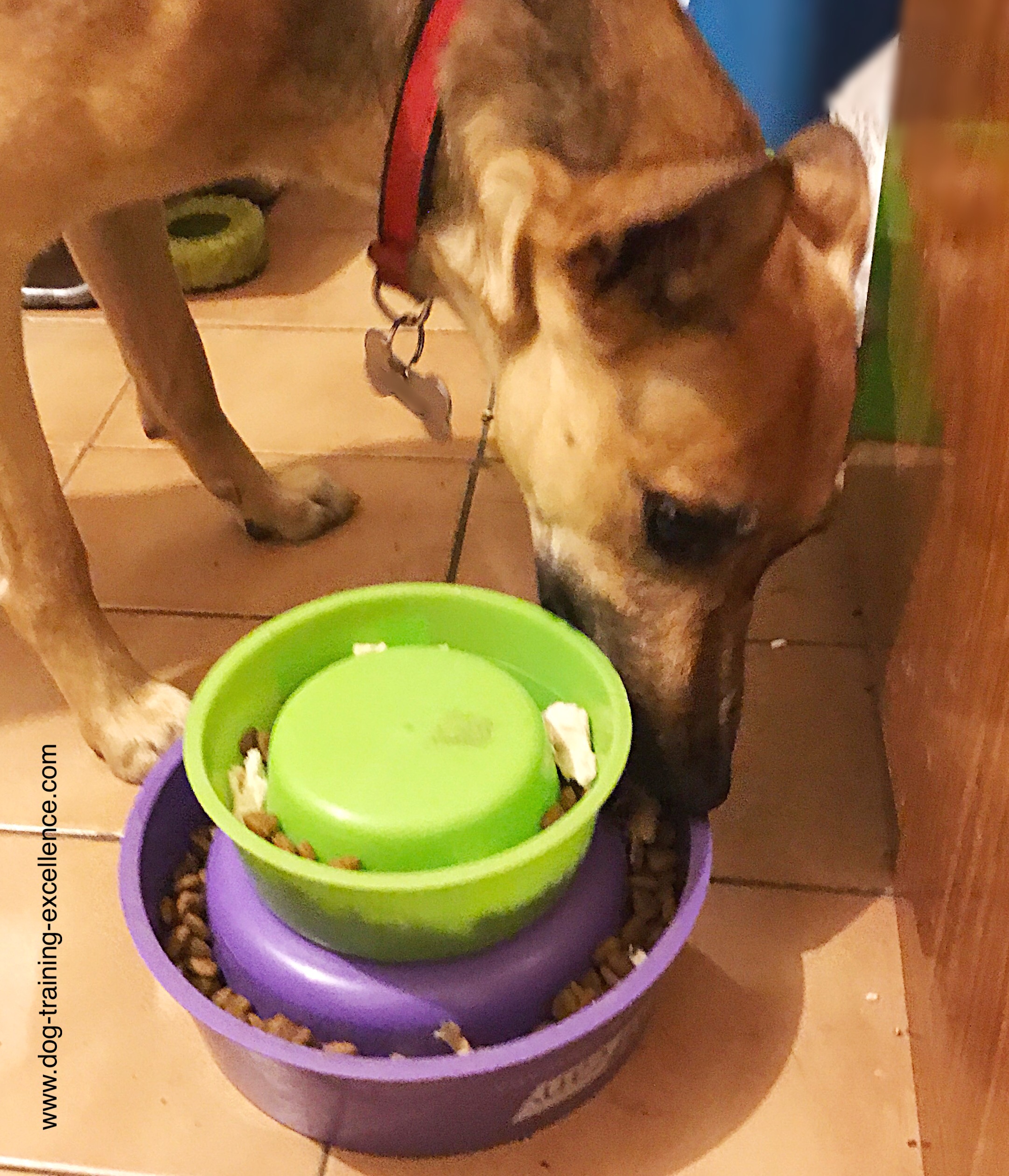 Home made slow feed dog bowl