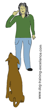 dog training hand signal watch or eye contact by DTE