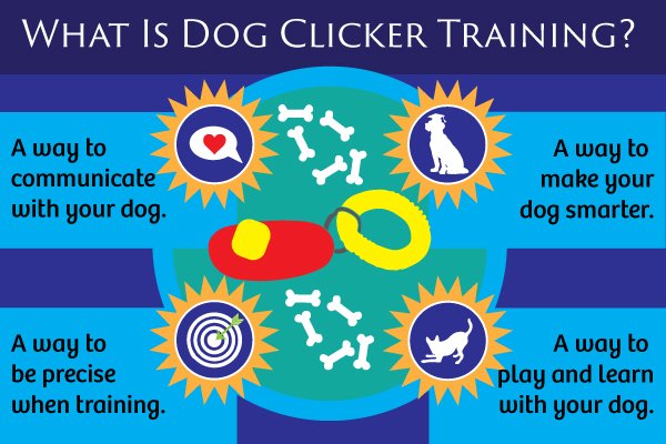 dog clicker training, dog training with a clicker, does clicker training really work