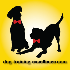 Extinction is a learning principle that can be used in dog training. Learn how and when to use it with your dog.